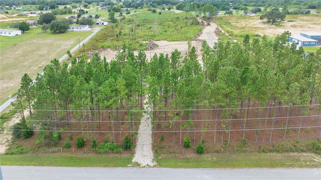 An aerial view shows a wooded lot with a gravel driveway leading into the trees — 13070 CROWELL ROAD, BROOKSVILLE, FL