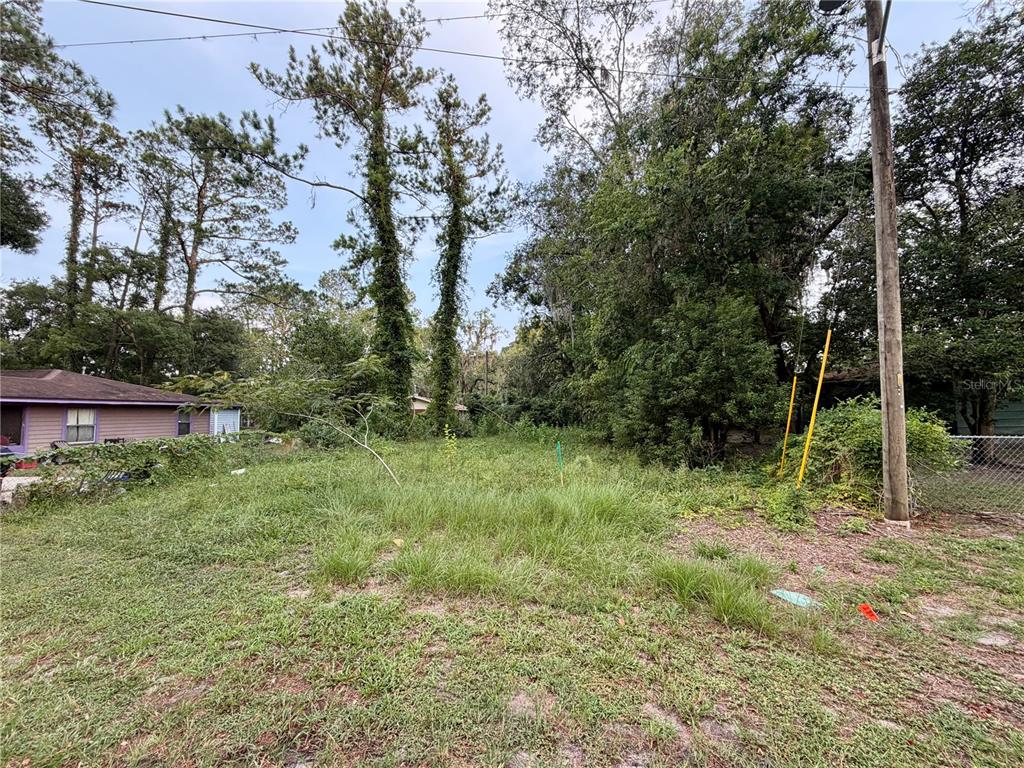 A vacant, grassy lot is bordered by trees, a utility pole, and a neighboring house — XX NE 6TH AVENUE, GAINESVILLE, FL