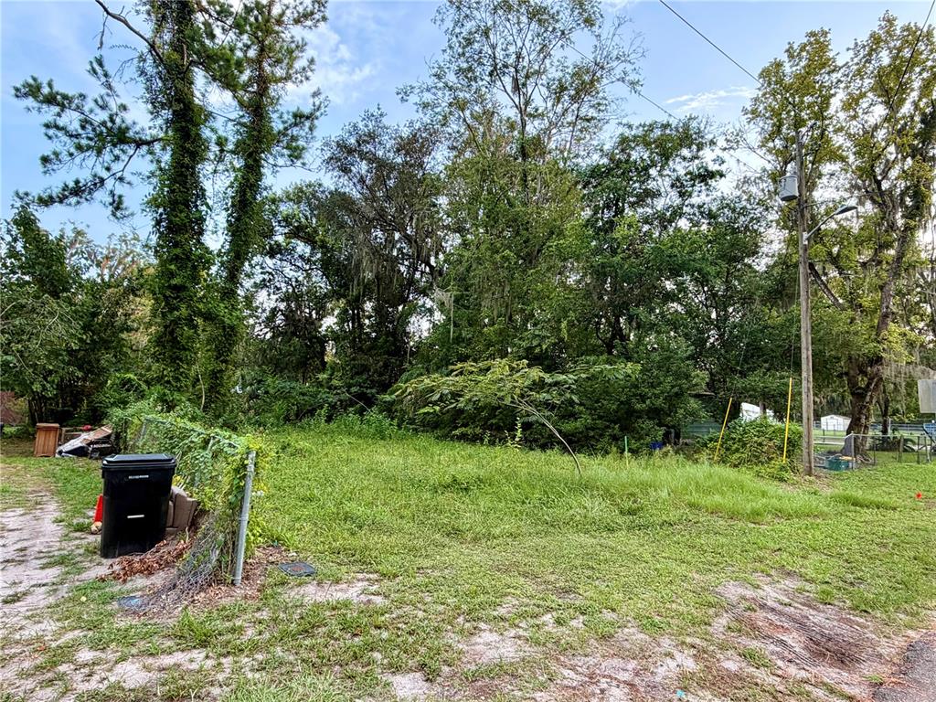 A grassy, undeveloped lot features a chain-link fence, a trash bin, and mature trees — XX NE 6TH AVENUE, GAINESVILLE, FL