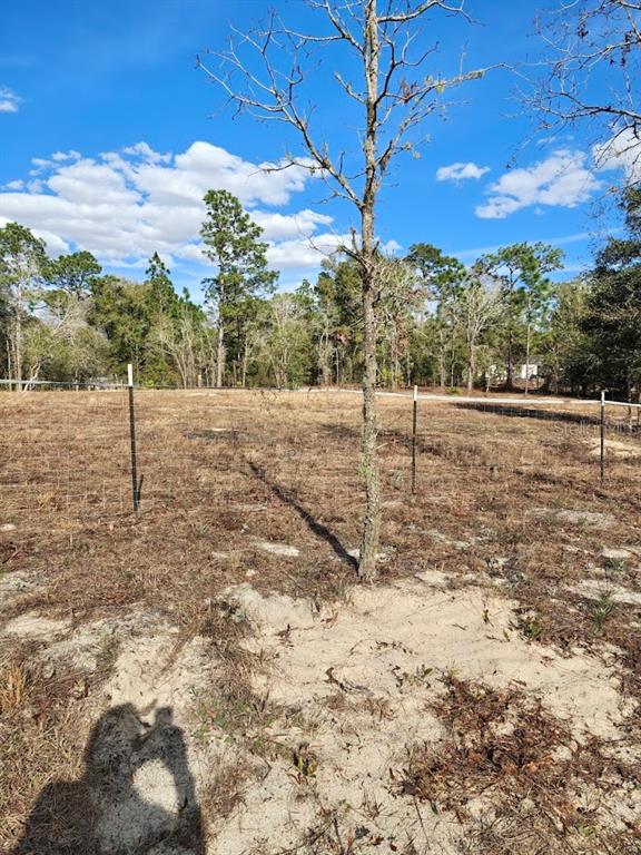 A fenced, sandy, and grassy vacant lot features a single bare tree in the foreground — 13105 SW 91ST PLACE, DUNNELLON, FL