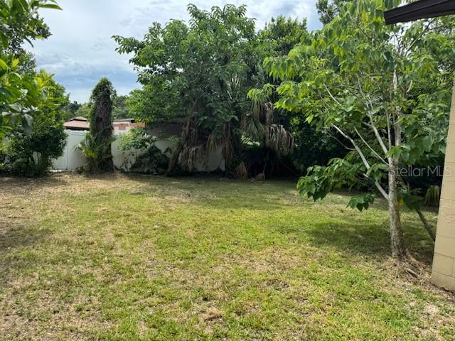 A grassy backyard features mature trees and a white privacy fence in the background — 8609 N 13TH STREET, TAMPA, FL