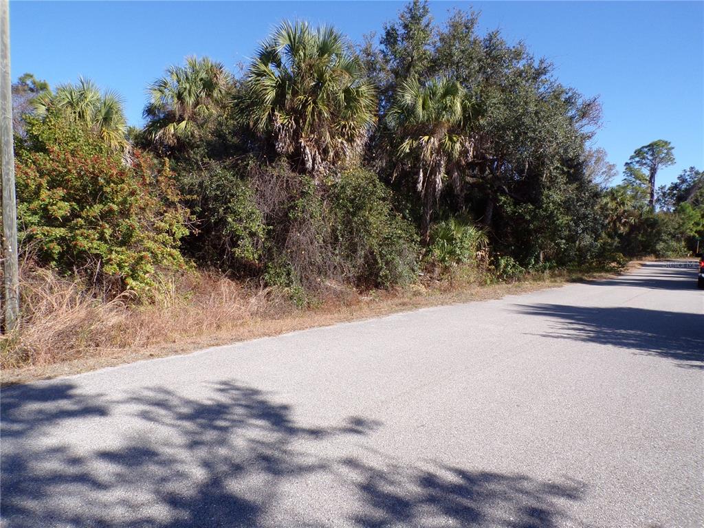 A paved road runs alongside a wooded lot with various palm trees and dense vegetation — BENNETT LANE, NORTH PORT, FL