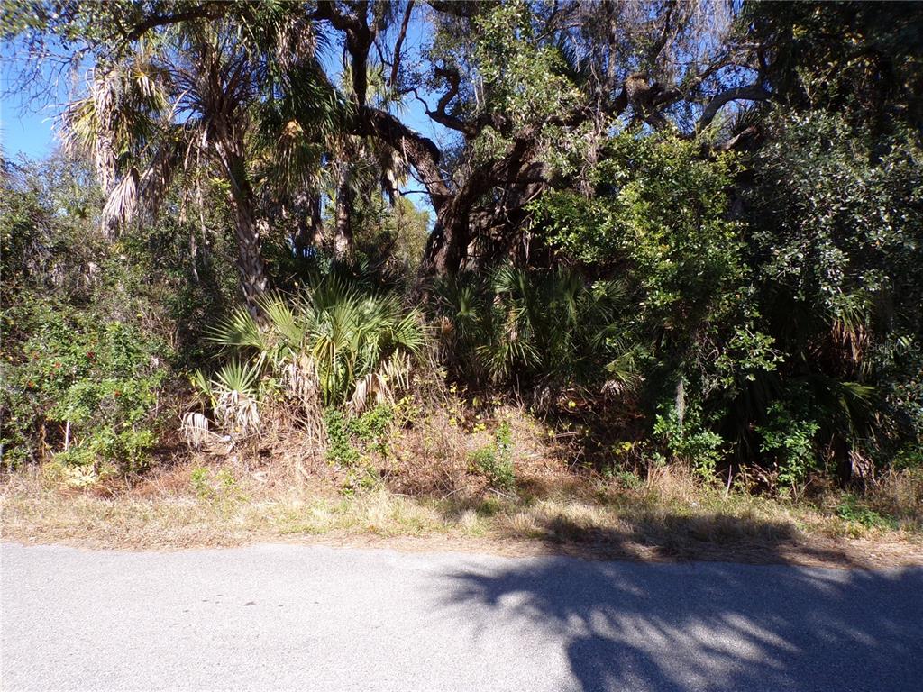 A paved road runs in front of a densely wooded lot with palms and trees — BENNETT LANE, NORTH PORT, FL