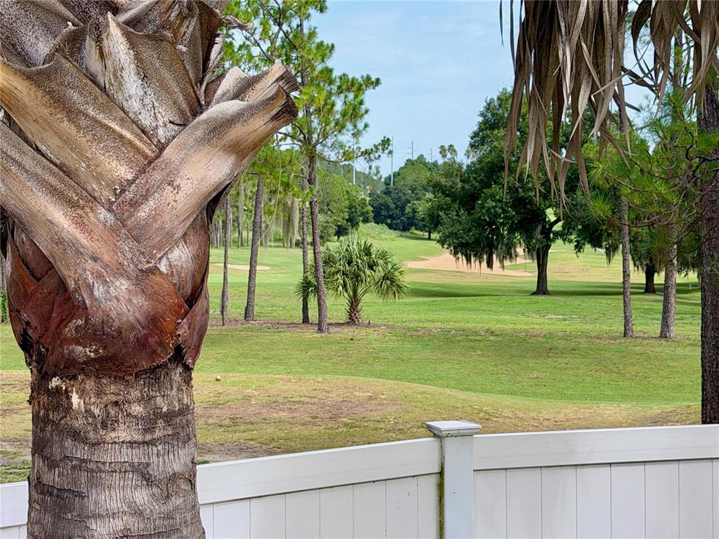 A view of a golf course fairway seen from behind a white fence and palm tree — 2067 BRAXTON STREET, CLERMONT, FL