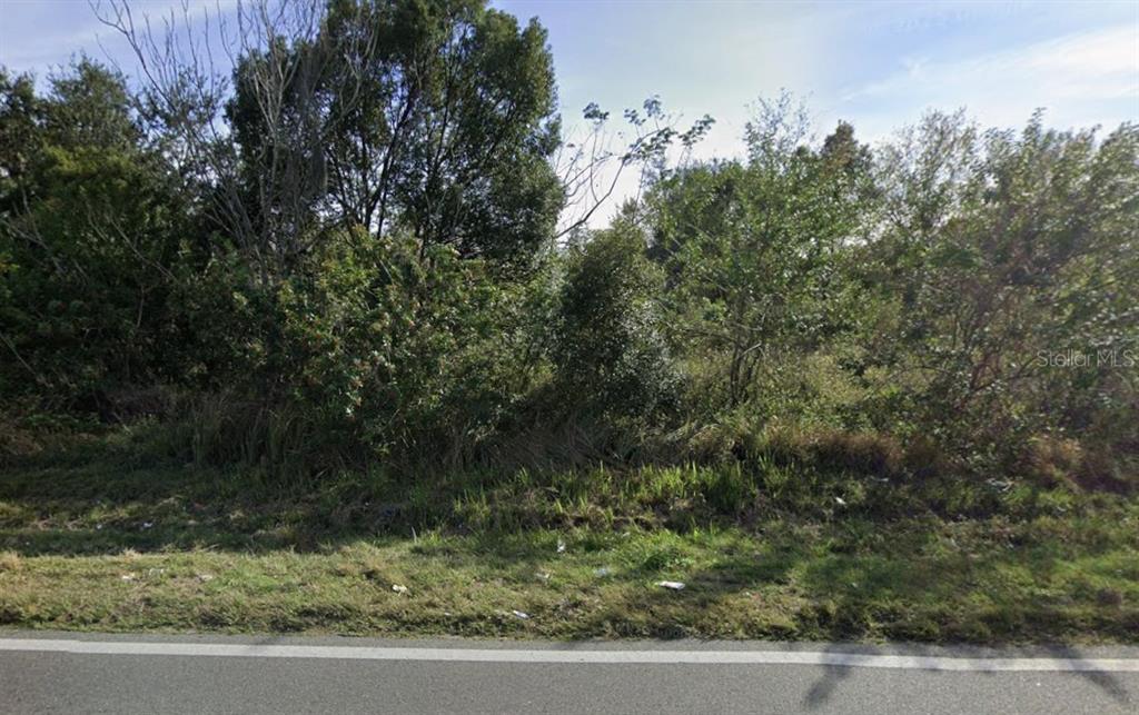 A view of a densely wooded, undeveloped lot bordering a paved road — SKYVIEW DRIVE, LAKELAND, FL