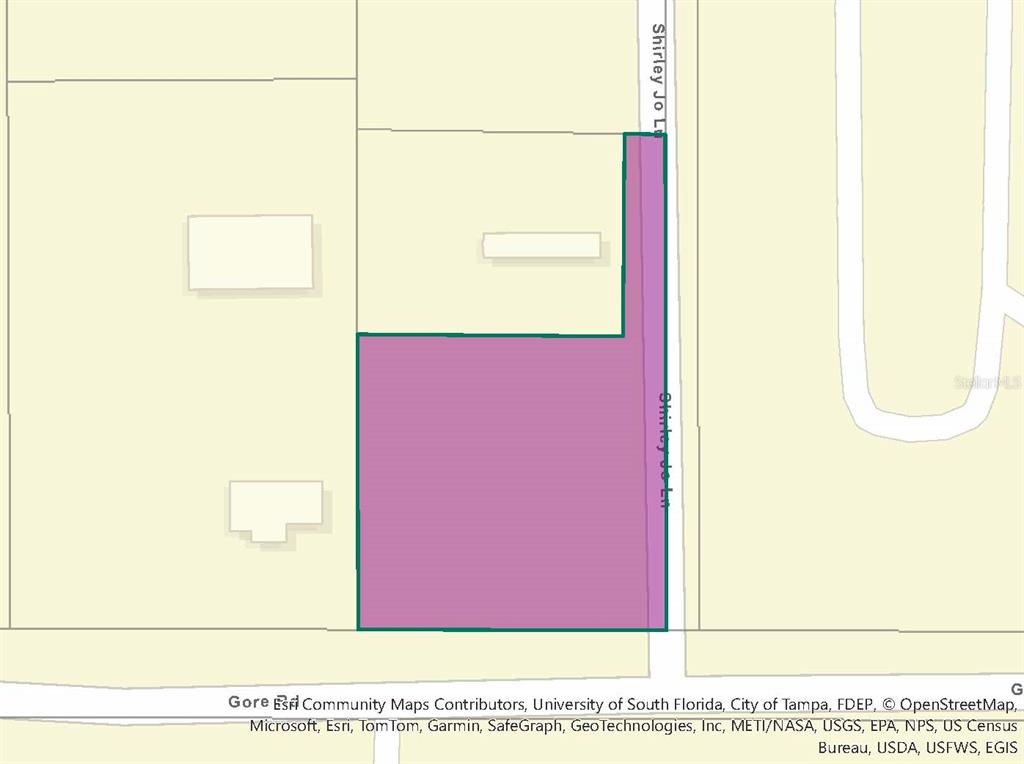 12946 GORE ROAD, DOVER, FL — photo 2 of 6