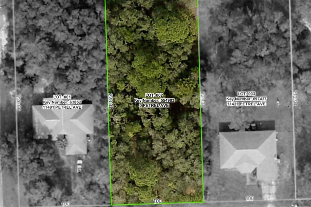 This aerial map shows three adjacent rectangular lots, with the center lot highlighted in green — 11405 PETREL AVENUE, WEEKI WACHEE, FL