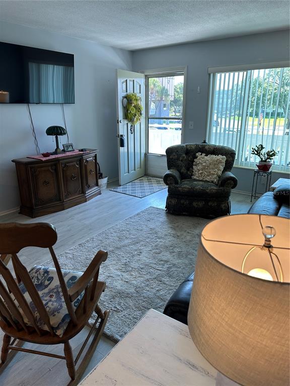 A living room features light wood flooring, a television, a rocking chair, and an armchair — 2448 COLUMBIA DRIVE UNIT 28, CLEARWATER, FL