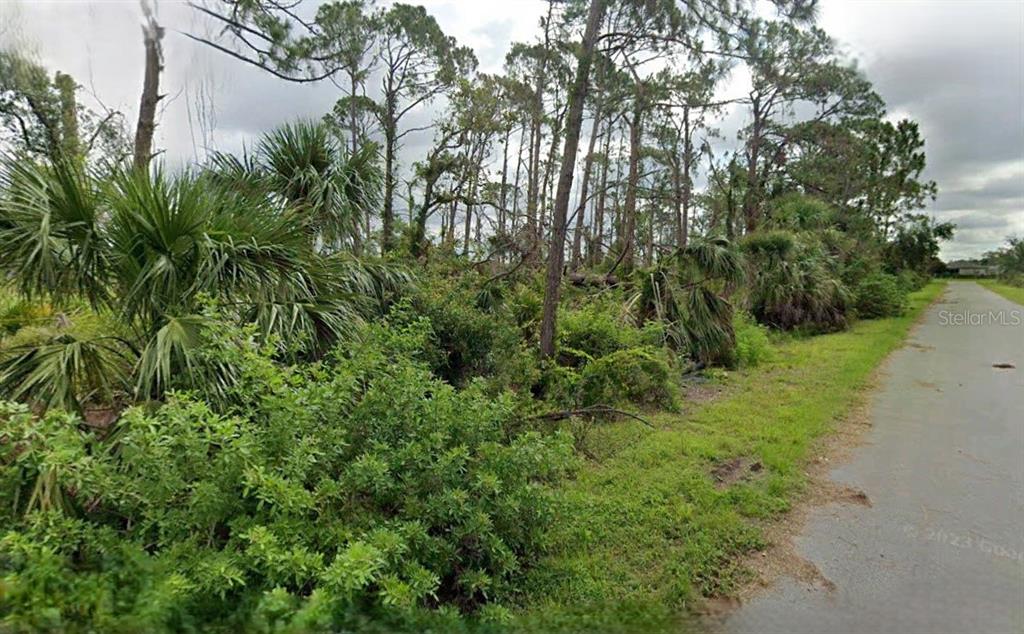 A wooded lot with dense vegetation and tall pine trees borders a paved road — 15484 WHITEHALL AVENUE, PORT CHARLOTTE, FL