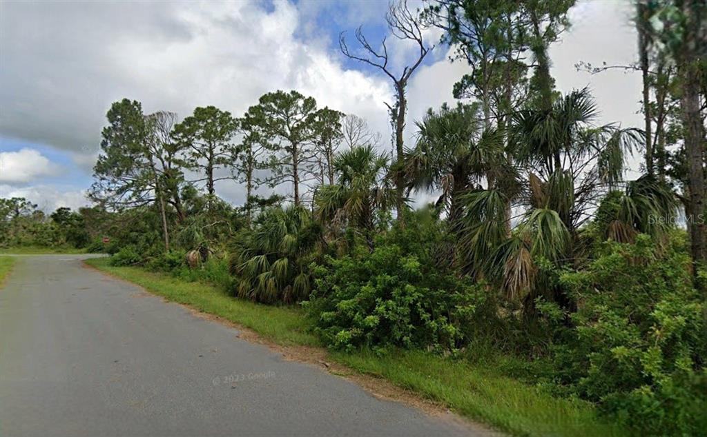 A paved road runs alongside a wooded lot with pine trees and palmetto bushes — 15484 WHITEHALL AVENUE, PORT CHARLOTTE, FL