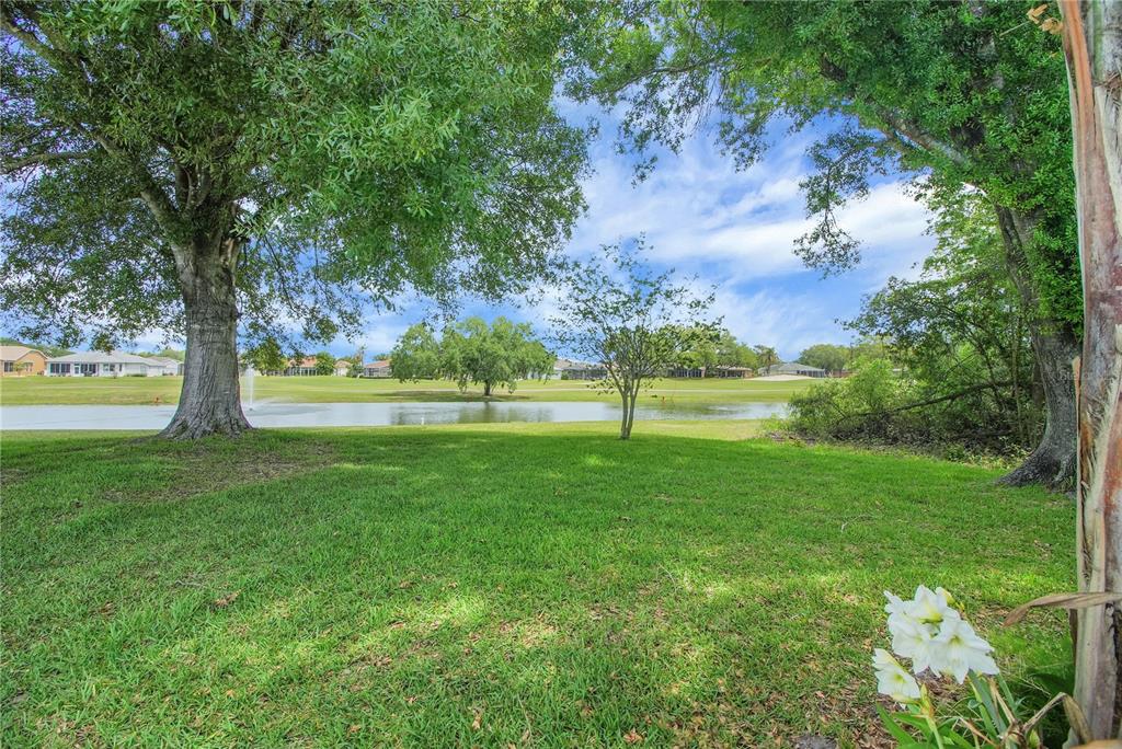 A grassy backyard overlooks a pond with a fountain and distant houses under a blue sky — 333 RANCHWOOD DRIVE, LEESBURG, FL
