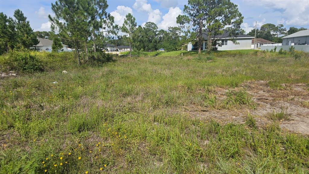 A vacant, grassy lot with scattered trees and neighboring houses in the background — 1400 VENICE AVENUE N, LEHIGH ACRES, FL