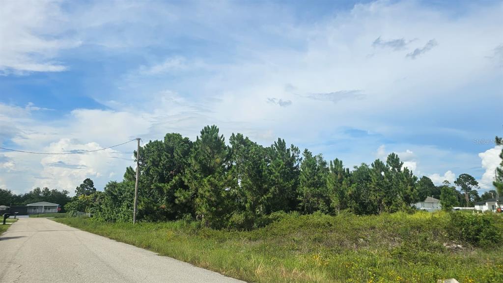 A paved road runs alongside a vacant, grassy lot with a cluster of pine trees — 1400 VENICE AVENUE N, LEHIGH ACRES, FL