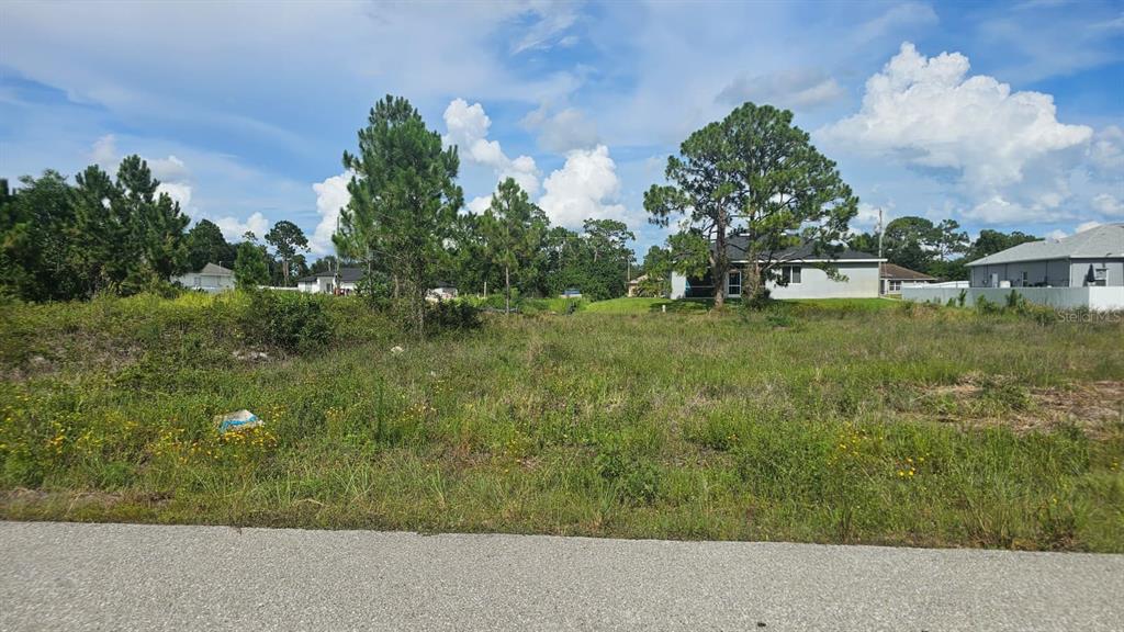 A grassy, undeveloped residential lot with scattered trees under a blue sky with clouds — 1400 VENICE AVENUE N, LEHIGH ACRES, FL