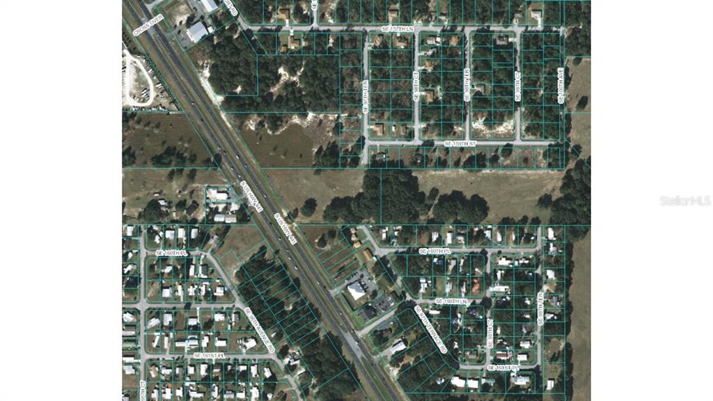 16000 SE 97TH TERRACE, SUMMERFIELD, FL — photo 3 of 4