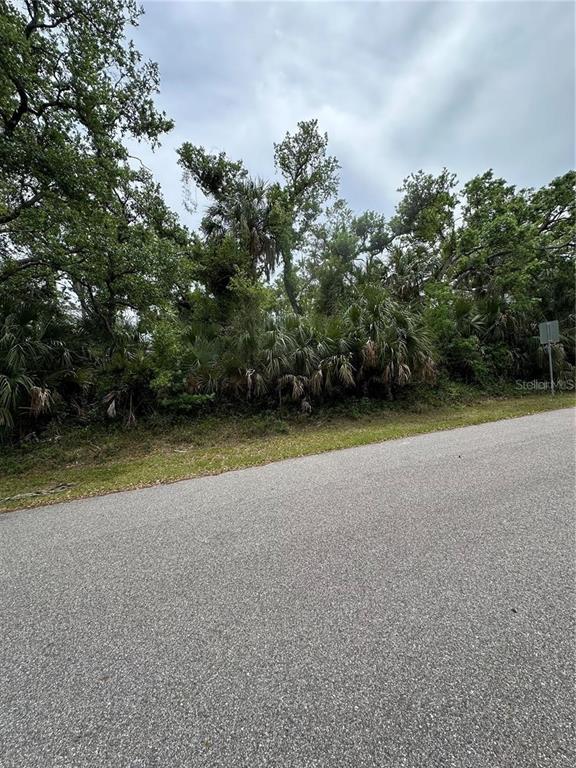 A paved road runs alongside a wooded lot filled with trees and palmetto bushes — lot 27 SAN LUIS TERRACE, NORTH PORT, FL