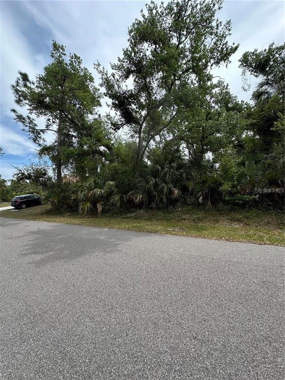 A paved road runs in front of a wooded lot with tall trees and palms — lot 27 SAN LUIS TERRACE, NORTH PORT, FL