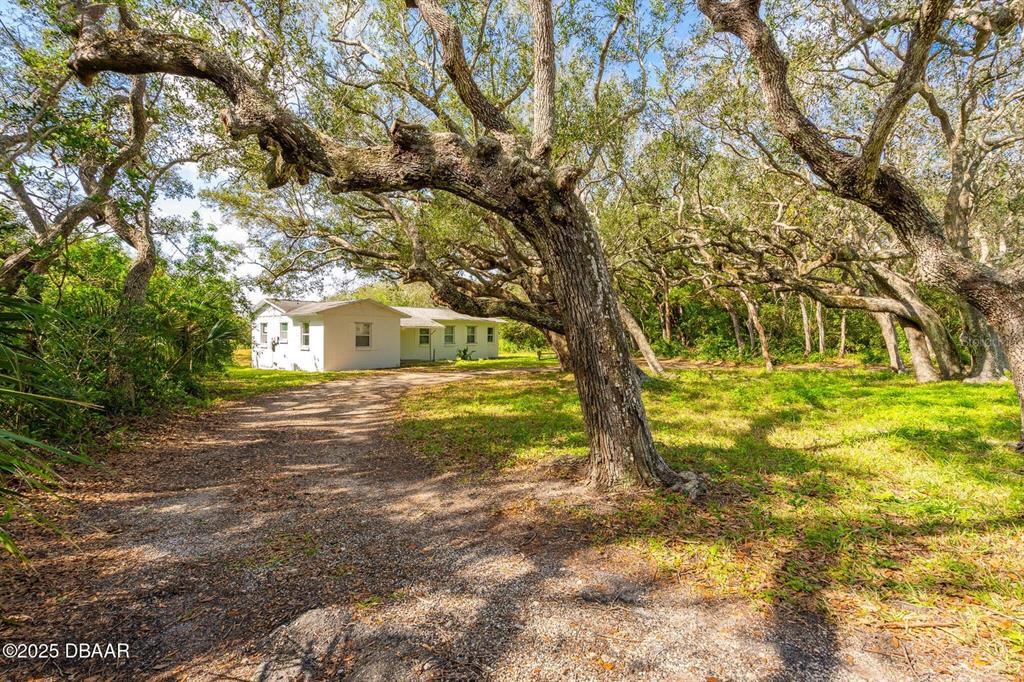 A white single-story house sits on a dirt driveway surrounded by large, mature oak trees — 4770 S PENINSULA DRIVE, PONCE INLET, FL