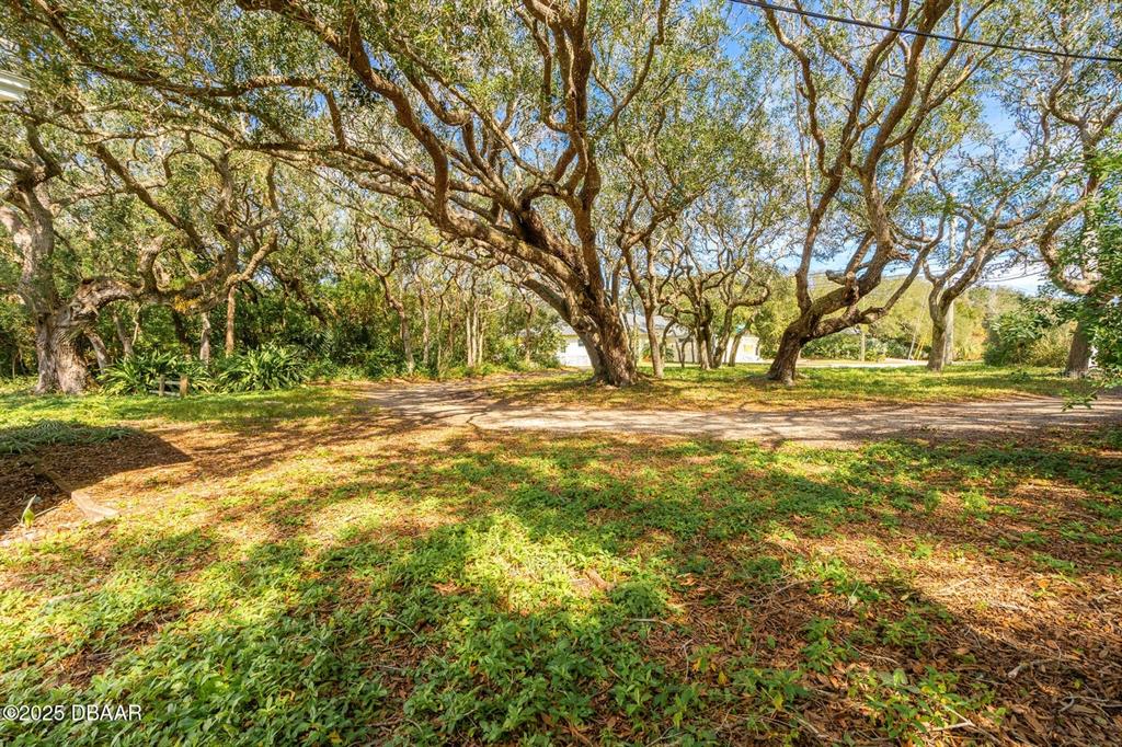 A large, wooded lot features mature trees and a dirt path leading toward a house — 4770 S PENINSULA DRIVE, PONCE INLET, FL