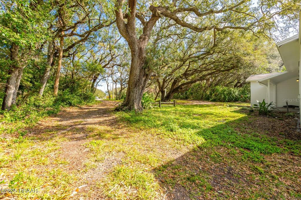 A grassy yard with large oak trees sits beside the side wall of a house — 4770 S PENINSULA DRIVE, PONCE INLET, FL
