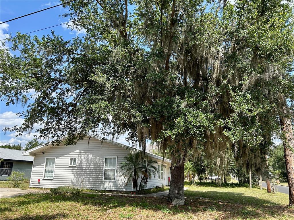 A light-colored, single-story house is partially shaded by a large oak tree with Spanish moss — 830 ALABAMA STREET, WAUCHULA, FL