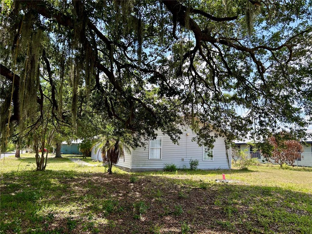 A light-colored, single-story house sits beneath a large, moss-draped oak tree in a grassy yard — 830 ALABAMA STREET, WAUCHULA, FL