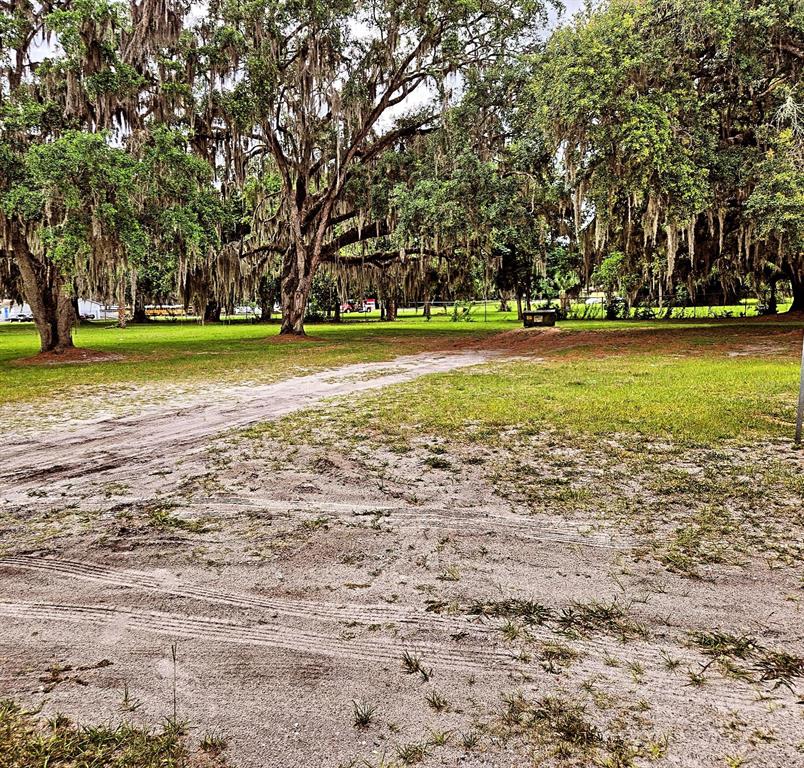 A sandy, unpaved path leads through a grassy lot shaded by large, moss-draped oak trees — 204 HUEY STREET, WILDWOOD, FL