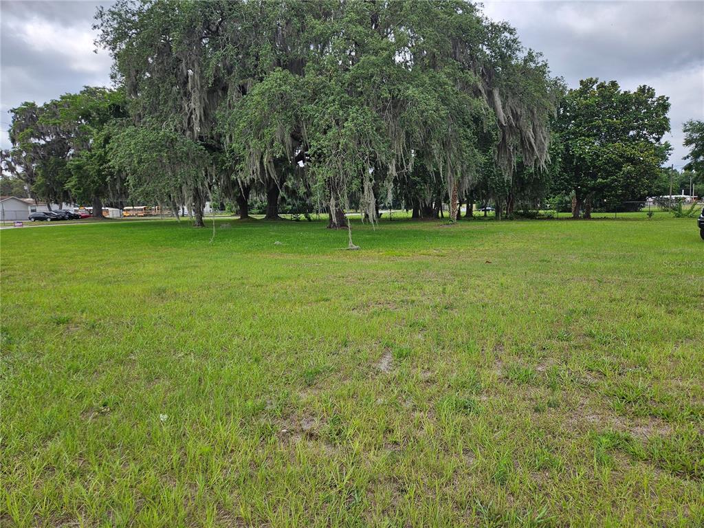 A large, grassy vacant lot features several mature oak trees draped with Spanish moss — 204 HUEY STREET, WILDWOOD, FL