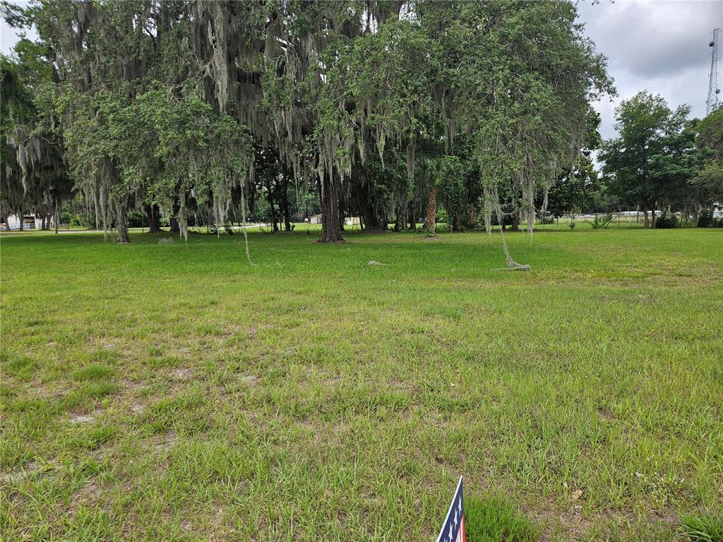 A grassy, vacant lot features several large trees draped with Spanish moss — 204 HUEY STREET, WILDWOOD, FL