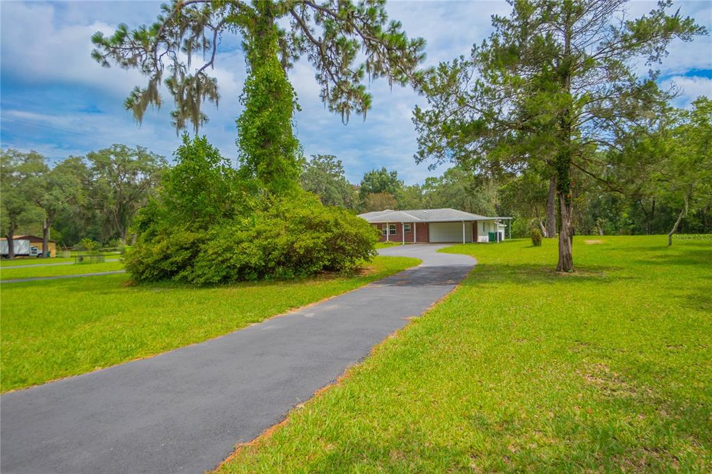 A paved driveway leads to a single-story house surrounded by a large grassy lawn and trees — 1919 FOREST DRIVE, INVERNESS, FL