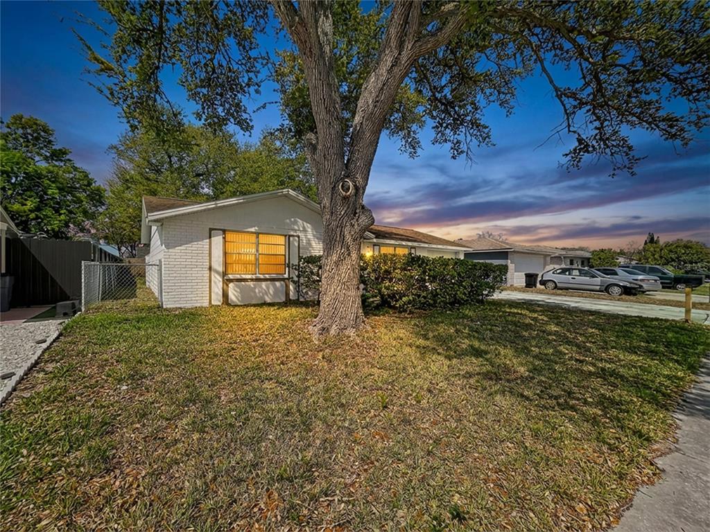 A white brick house with a large tree in the front yard at dusk — 9741 LAMANTIN DRIVE, PORT RICHEY, FL