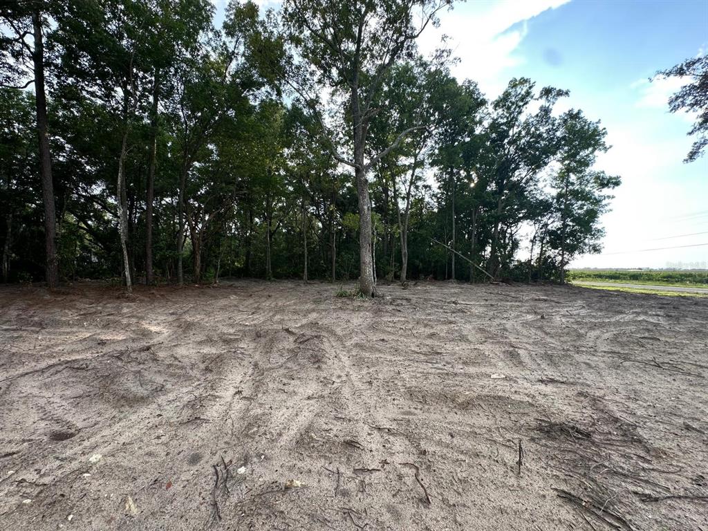 A cleared, sandy lot is bordered by a dense line of mature trees — 00 NW 115TH STREET, CHIEFLAND, FL