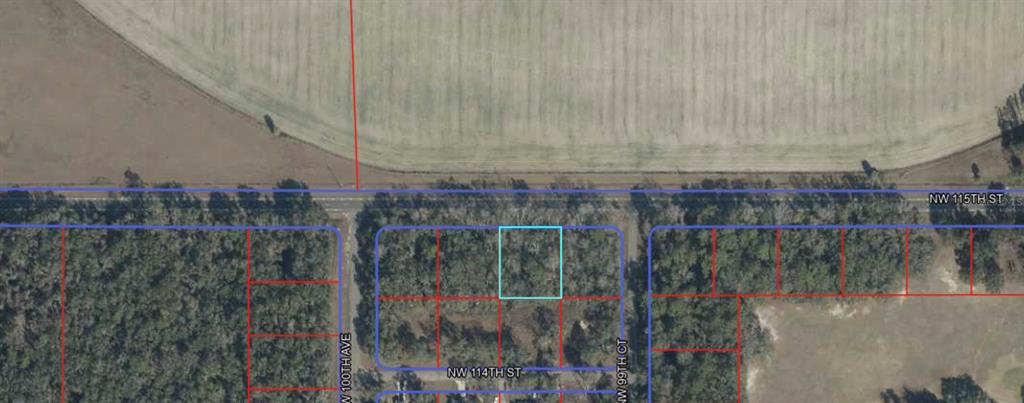 This is an aerial map showing a rectangular plot of land highlighted in light blue — 00 NW 115TH STREET, CHIEFLAND, FL