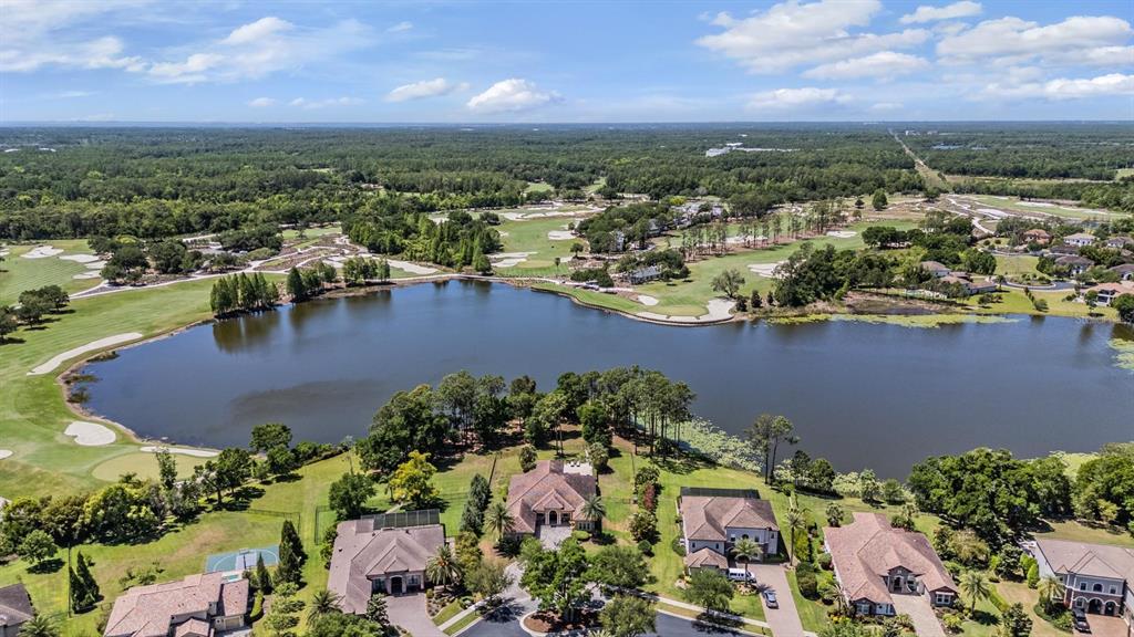 An aerial view shows several houses situated along the edge of a large lake — 9134 TILLINGHAST DRIVE, TAMPA, FL