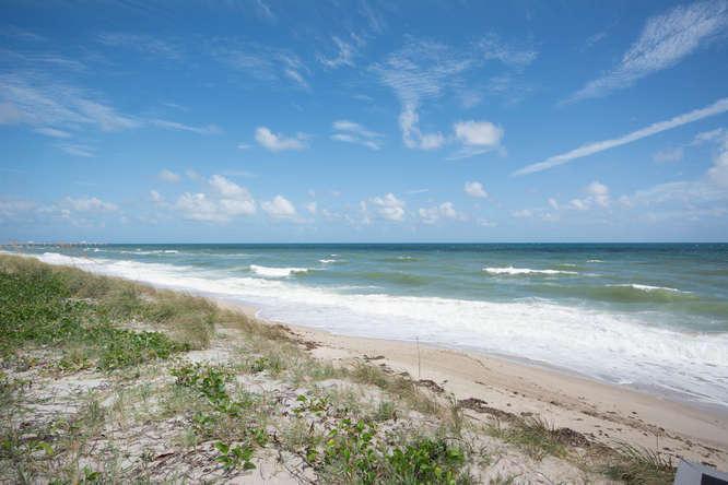 A sandy beach with dunes and vegetation meets the ocean under a blue sky — 3250 S Ocean Boulevard # 507n, Palm Beach FL 33480, PALM BEACH, FL