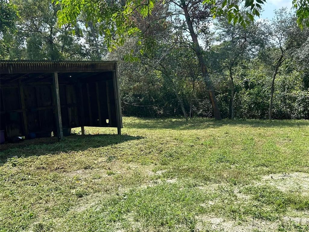 A rustic wooden shed stands on a grassy lot surrounded by trees — 31304 HILLSIDE DRIVE, DELAND, FL