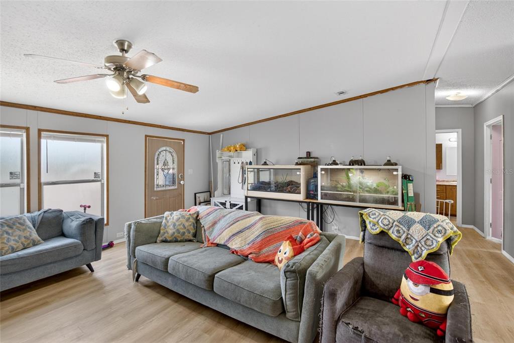 A living room features light wood flooring, gray walls, a ceiling fan, and two terrariums — 3991 SHADY COURT, MULBERRY, FL