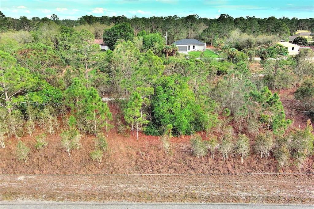 An aerial view shows a vacant, wooded lot with scattered pine trees and surrounding houses — 565 SUMMIT AVENUE S, LEHIGH ACRES, FL