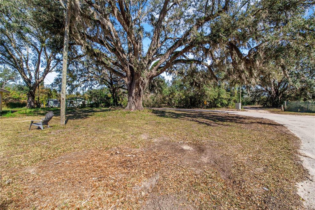 FOUSE AVENUE, DUNDEE, FL — photo 2 of 7