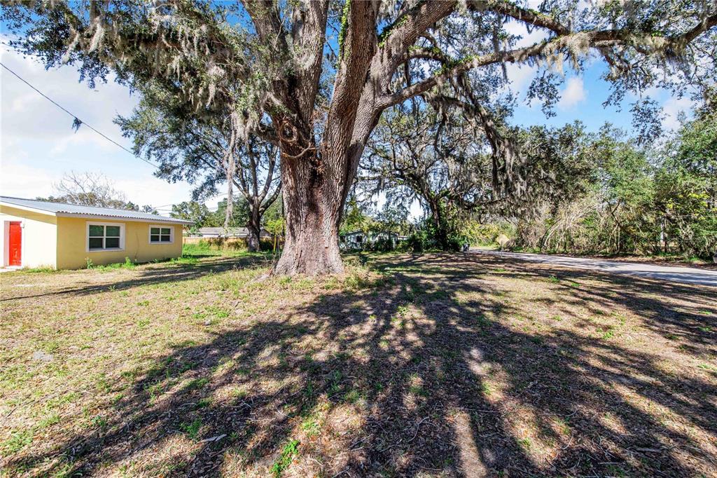 FOUSE AVENUE, DUNDEE, FL — photo 4 of 7