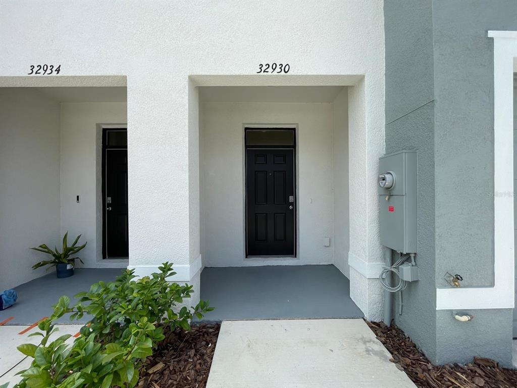 The exterior view shows two adjacent residential entryways with black doors and white stucco walls — 32930 REGENT CANAL STREET, WESLEY CHAPEL, FL