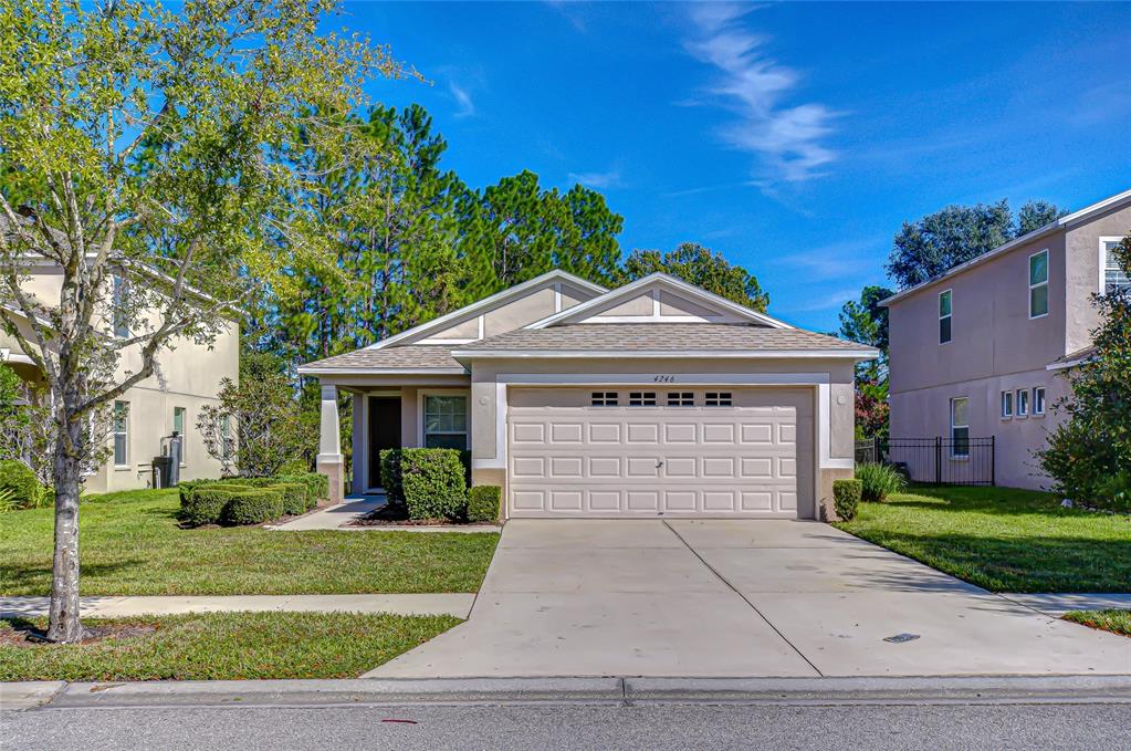 4246 WARWICK HILLS DRIVE