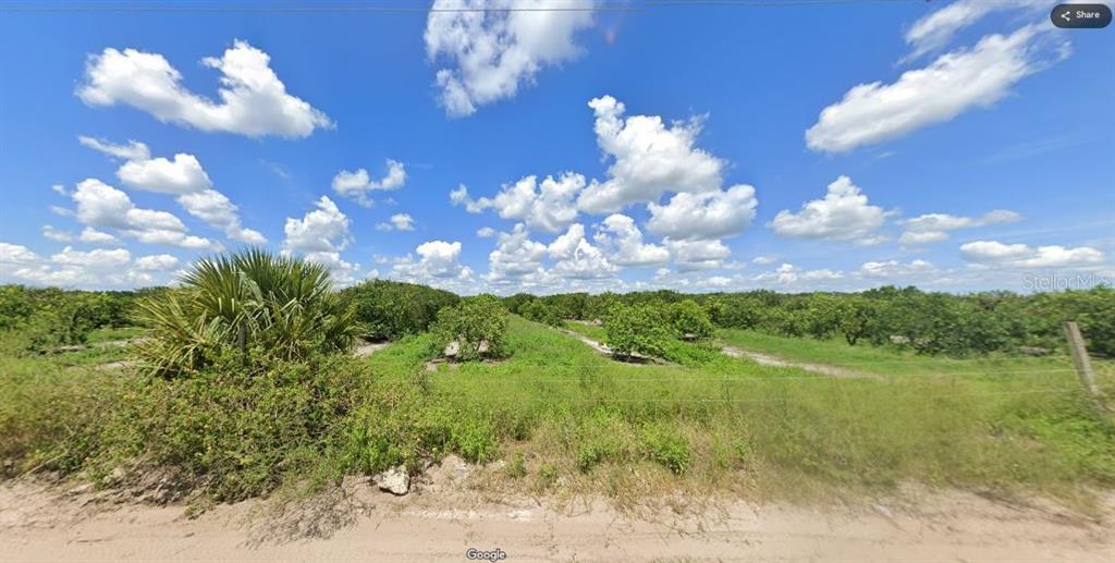 A dirt road runs alongside a large, open field of citrus trees under a blue sky — HOLOPAW GROVES ROAD, ST CLOUD, FL