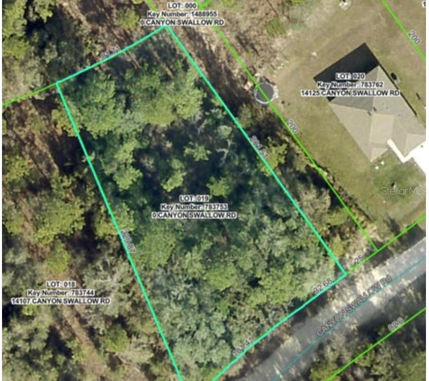 Lot 19 CANYON SWALLOW ROAD