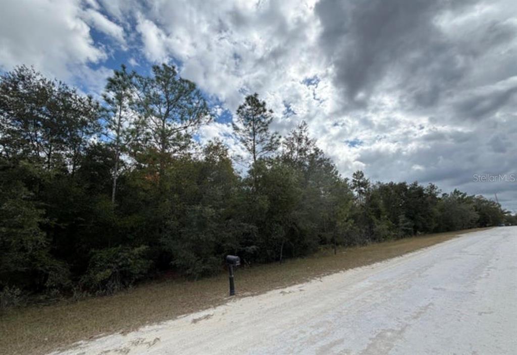 A dirt road runs alongside a wooded lot with a single mailbox in the foreground — Lot 19 CANYON SWALLOW ROAD, WEEKI WACHEE, FL