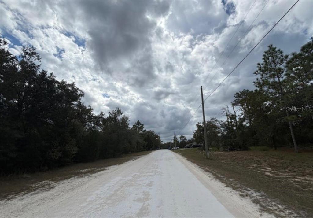 A dirt road stretches between wooded areas under a cloudy sky — Lot 19 CANYON SWALLOW ROAD, WEEKI WACHEE, FL
