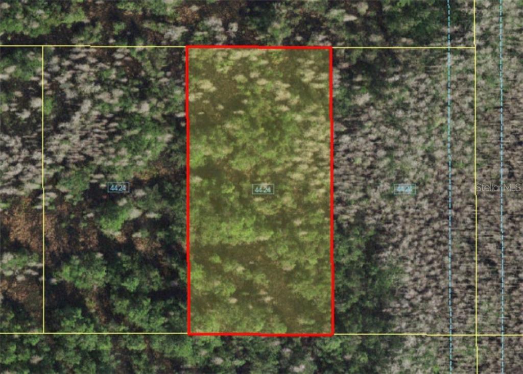 HOLOPAW GROVES ROAD, ST CLOUD, FL — photo 2 of 4