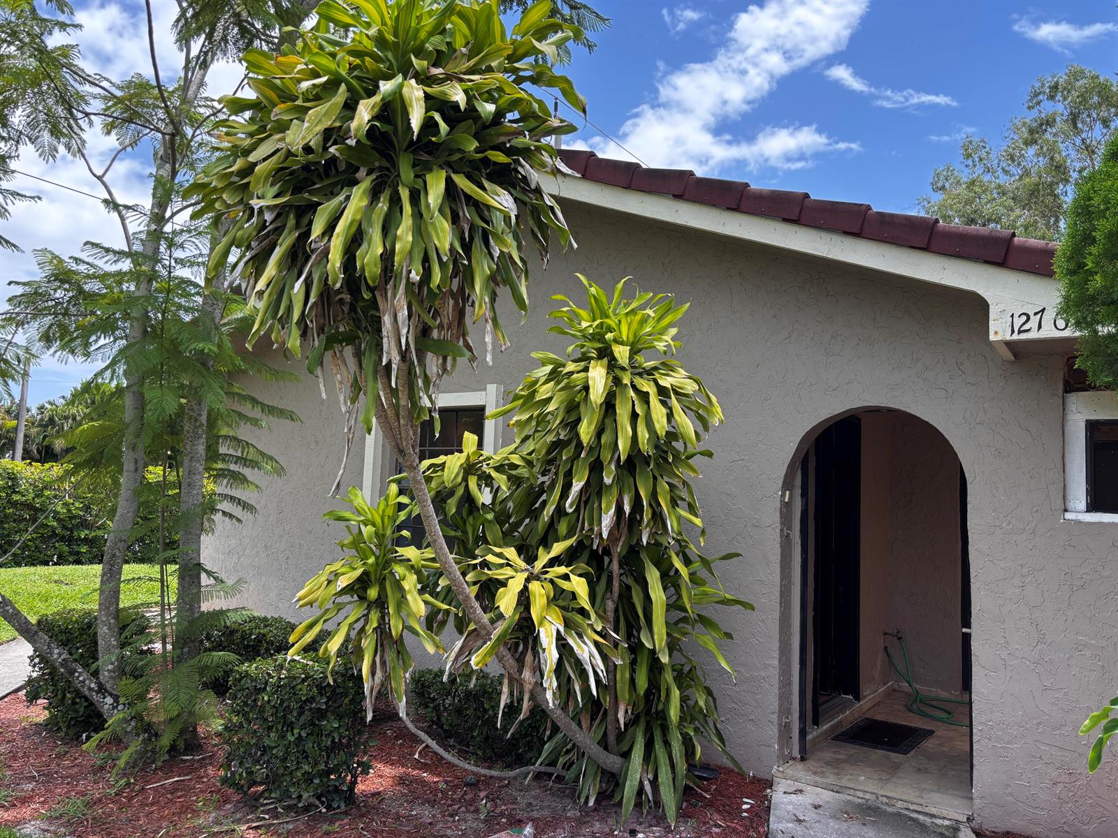 The exterior of a house features a stucco wall, an arched entryway, and large dracaena plants — 12761 Westhampton Circle, Wellington FL 33414, WELLINGTON, FL