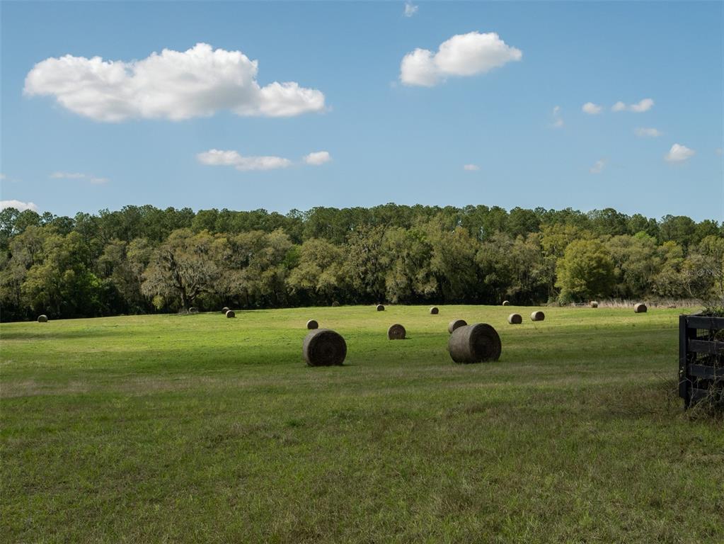 A grassy field with scattered hay bales sits in front of a line of trees — 1100 SW 110TH AVENUE, OCALA, FL
