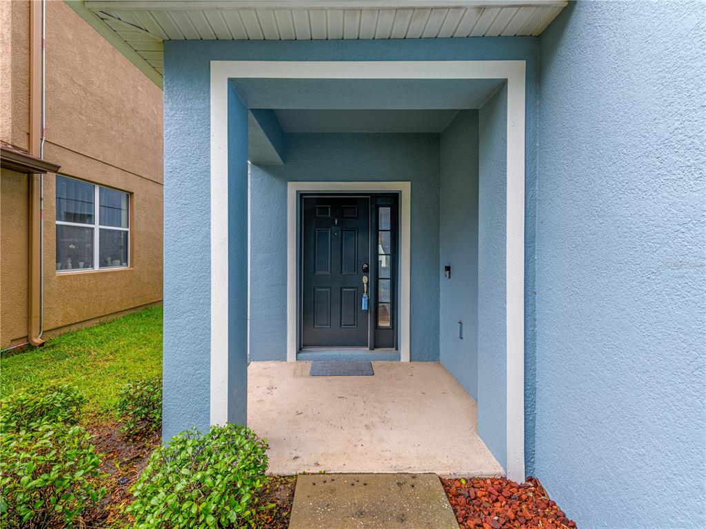A blue exterior wall frames a covered entryway with a dark front door and sidelight — 12833 GENEVA GLADE DRIVE, RIVERVIEW, FL